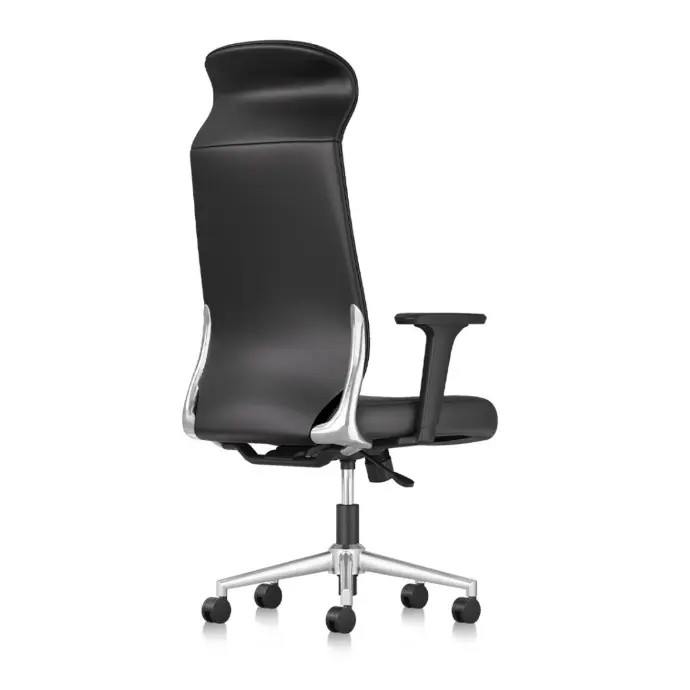 VICH S CHAIR BACK