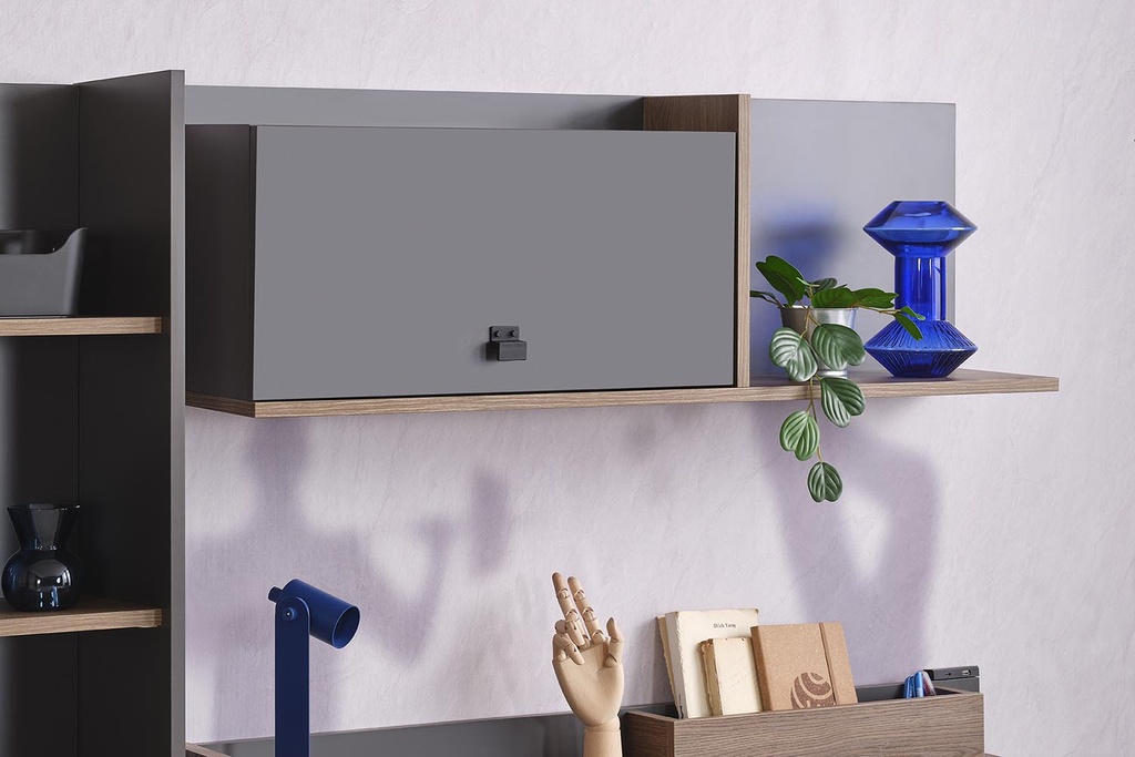 ACTION STUDY DESK UNIT