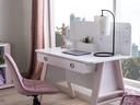 MONTESSORI PINK S STUDY TABLE V LEG