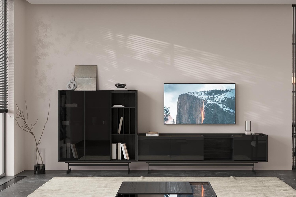 COLLECT GREY TV UNIT SHOWCASE GLASS DOOR