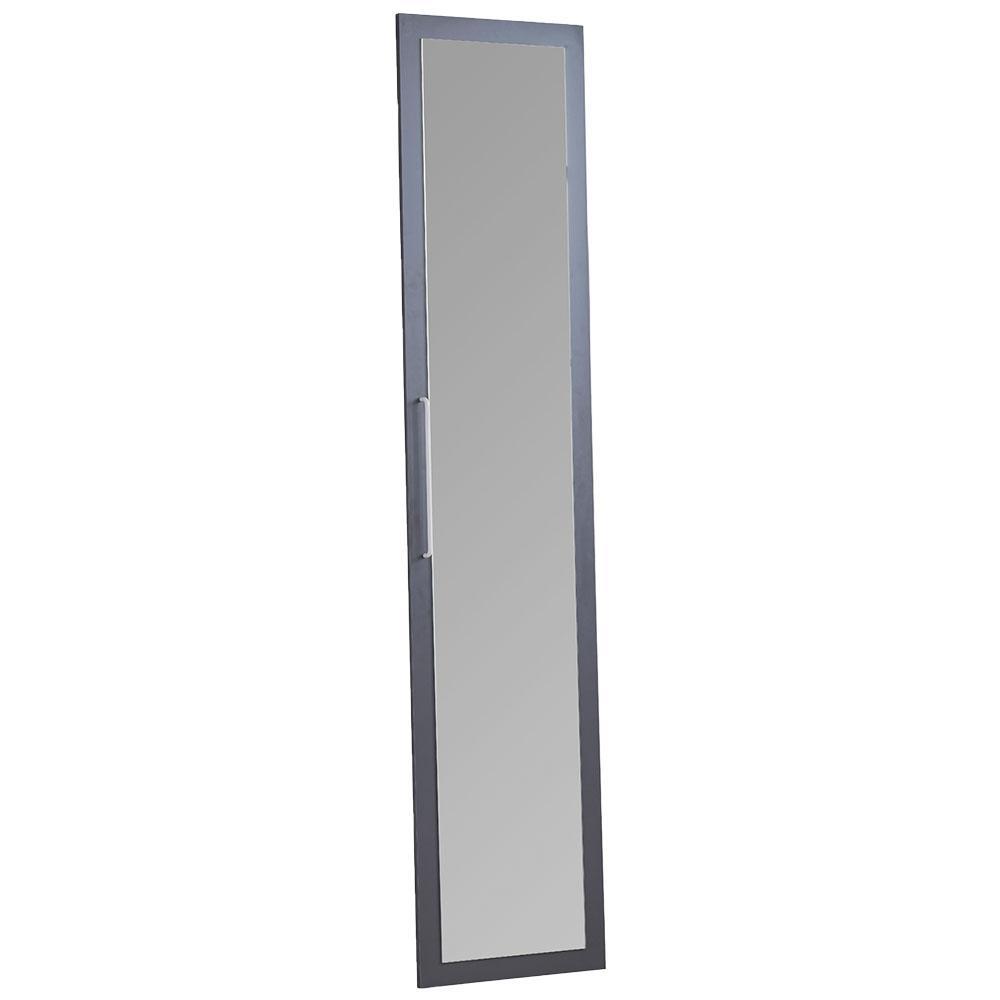 HARVEY DOOR ANTHRACITE WITH MIRROR