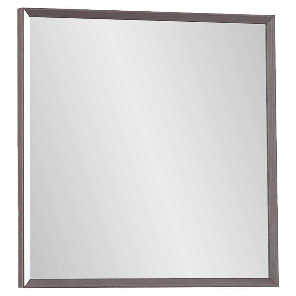VENUS MIRROR