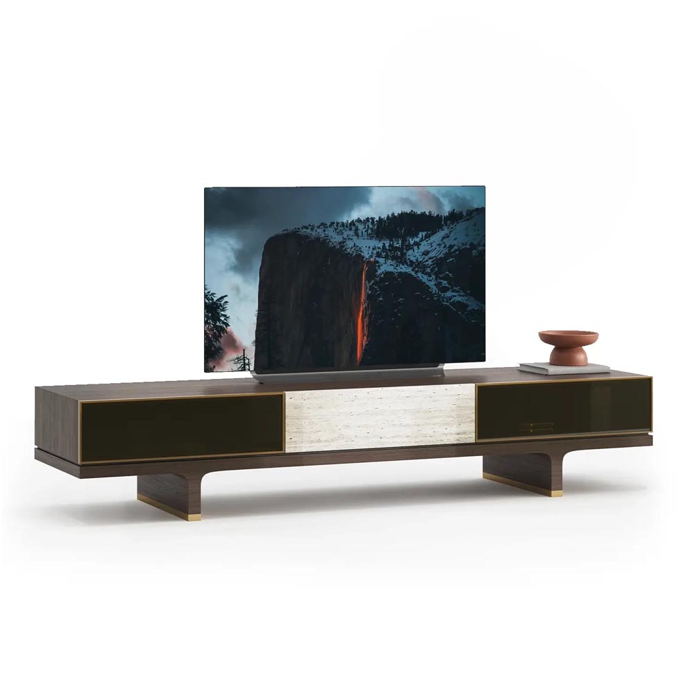 HECTOR TV SUB MODULE