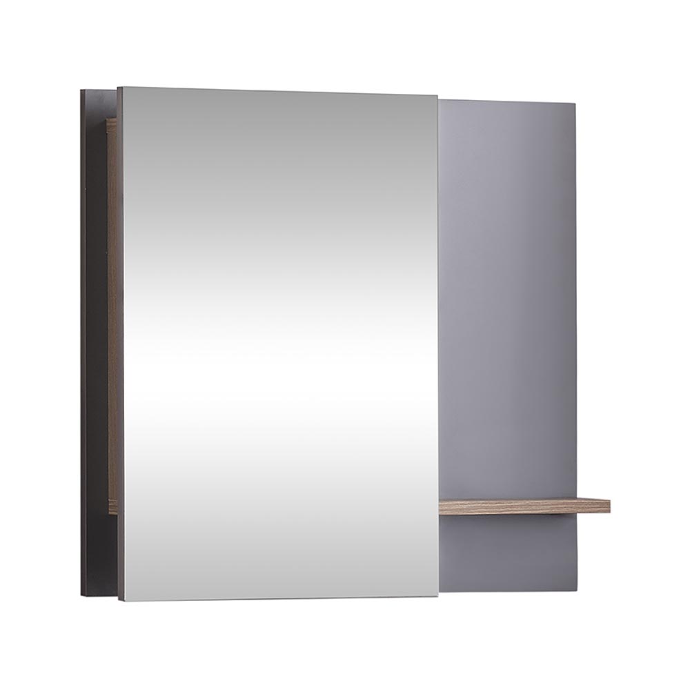 ACTION MIRROR