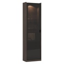 LUIS WALL UNIT GLASS MODULE (60CM)